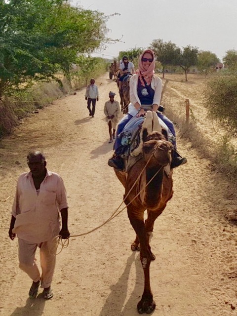 Camel riding in Bikaner