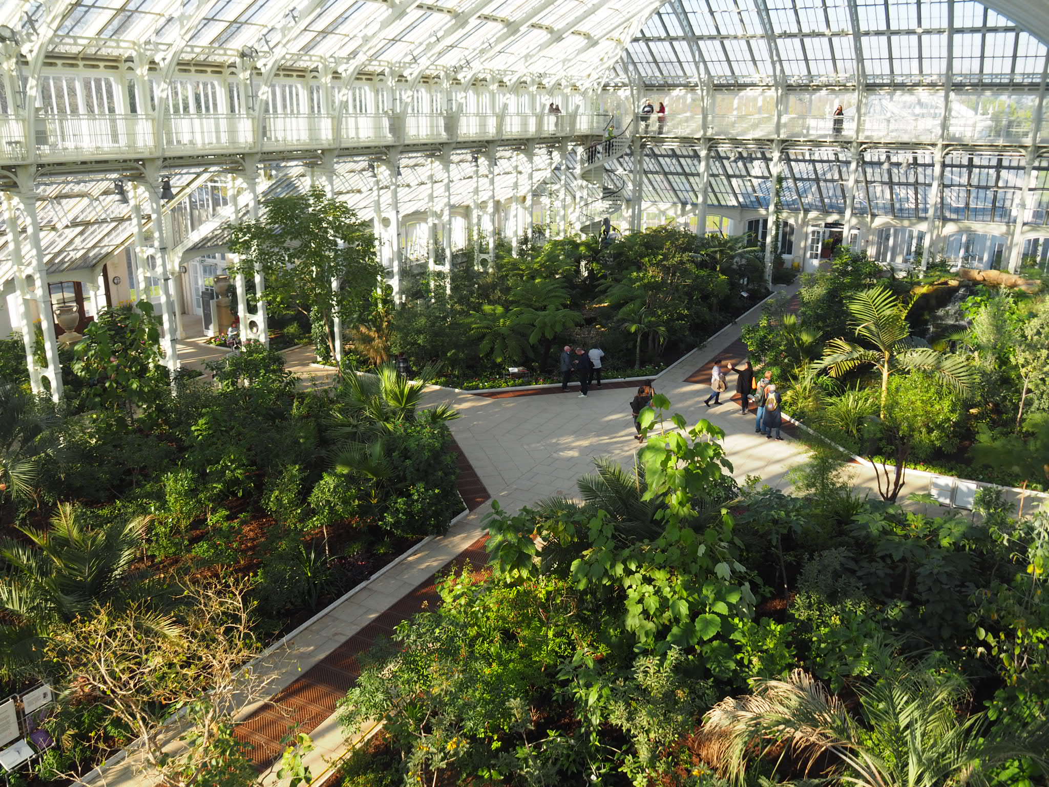 carmen tom kew gardens